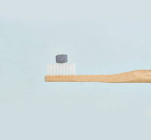 Load image into Gallery viewer, Fluoride-Free Toothpaste Tablets | Char. Mint |