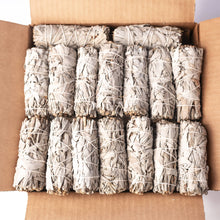 Load image into Gallery viewer, California White Sage (Salvia Apiana)
